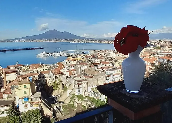 Stabia Gulfview