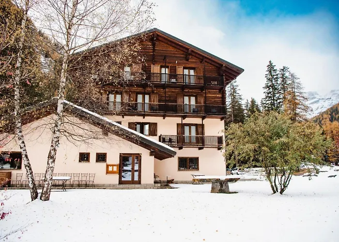 Resort: Alpine Forest Hotel