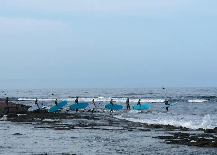 Hotel cerca del colegio: Endless Summer Vibes