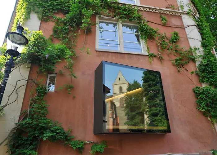 Pet Friendly hotel: Basel Youth Hostel