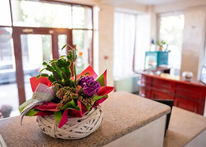 Motel: Hotel Cantemir