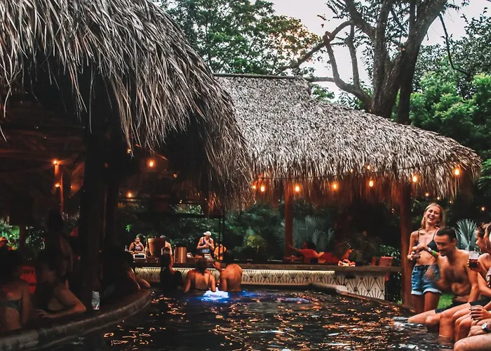 The Space Jungle Oasis