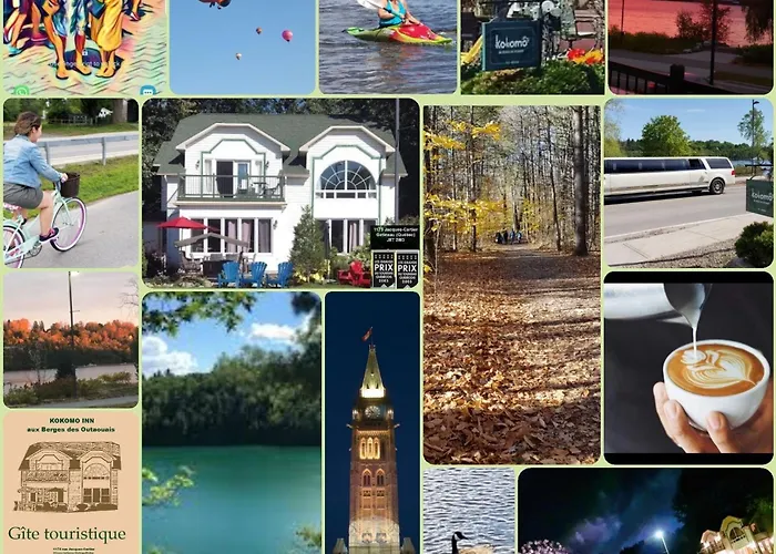 Hotel near College: Kokomo Inn: Tropical Riverfront B&B for Adults on Capital Cycling Route