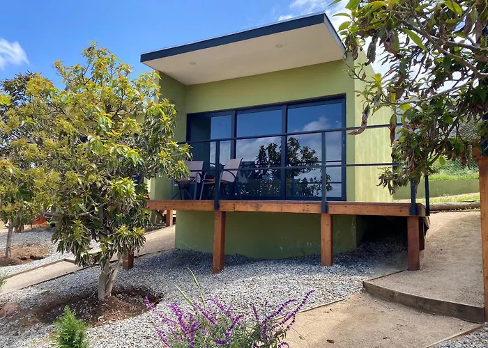 Palta 60 Valle De Guadalupe