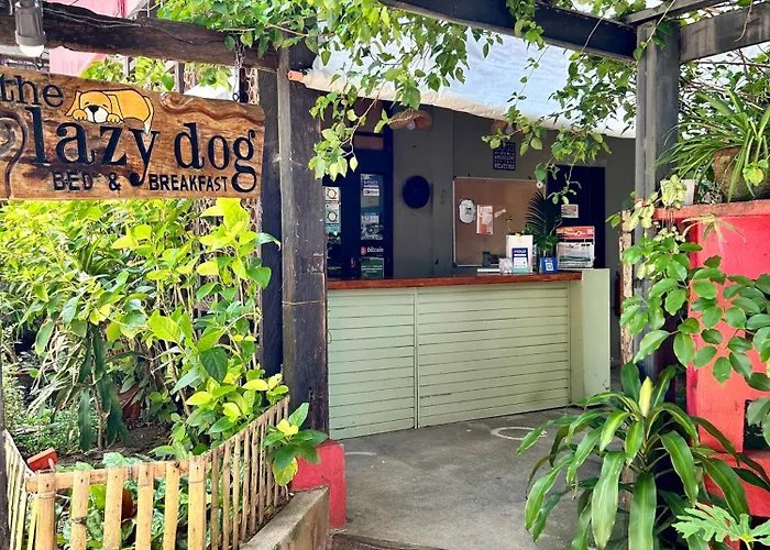 Resort: Lazy Dog Bed & Breakfast