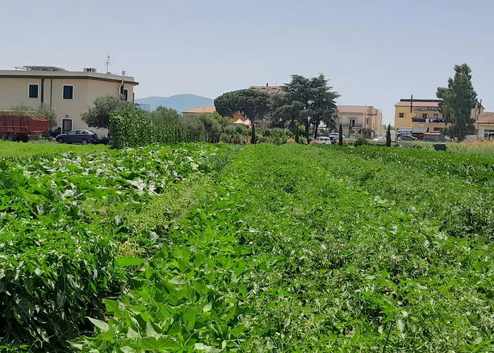 B&B Tenuta San Michele