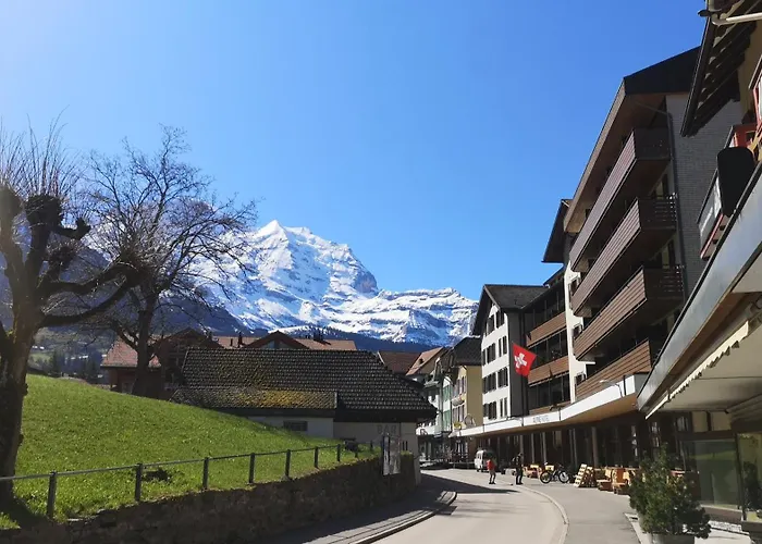 Luxury hotel only: Swiss Lodge Hotel Bernerhof