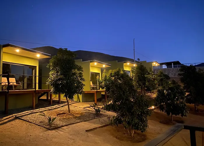 Palta 60 Valle De Guadalupe
