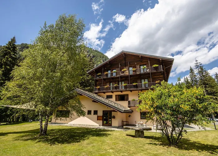 Resort: Alpine Forest Hotel