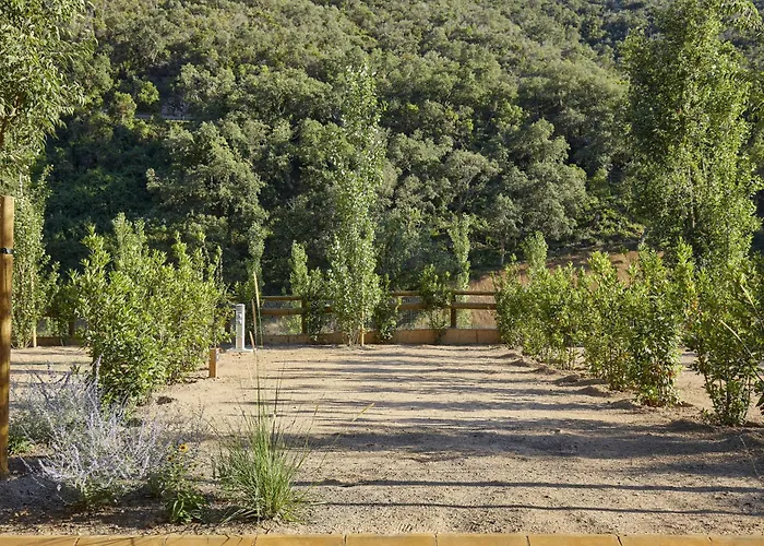 Camping: Pola Giverola Camp