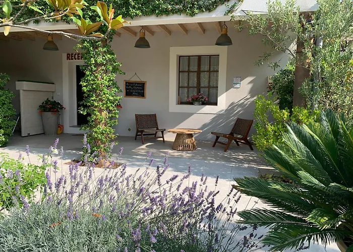 Hôtel accueillant les animaux: Residence Melody - Adult Only
