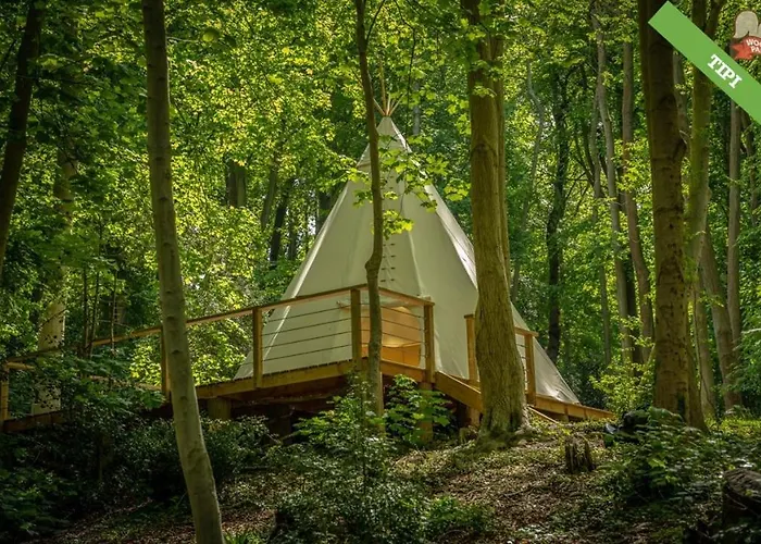 Hotel pres du College: Woody Park