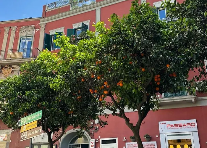 La Cassa Armonica