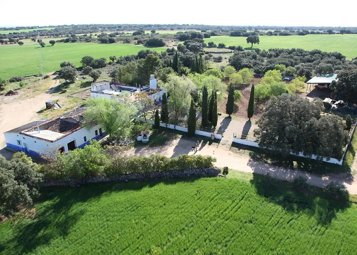Calixto