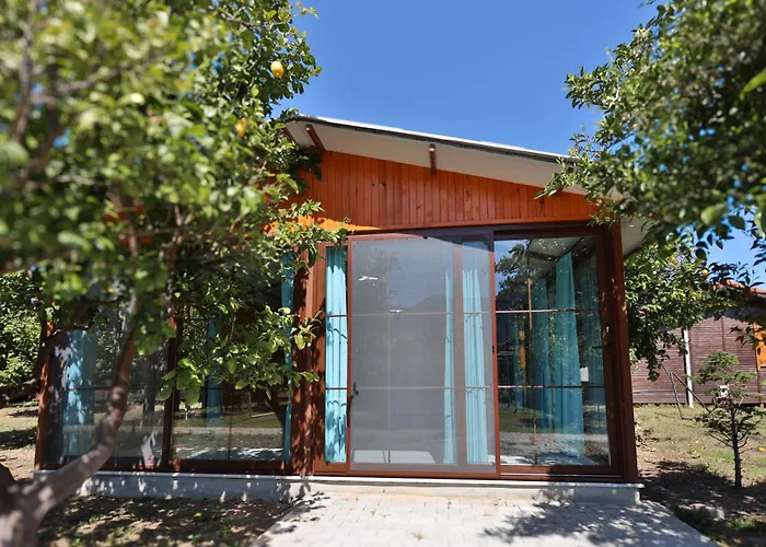 Baris Pension & Bungalows Çıralı