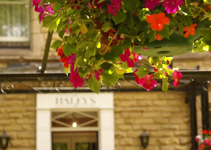 Haley'S Hotel