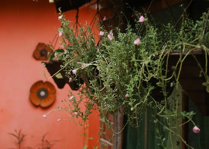 Hotel barato: Pousada Vitória do Lopes