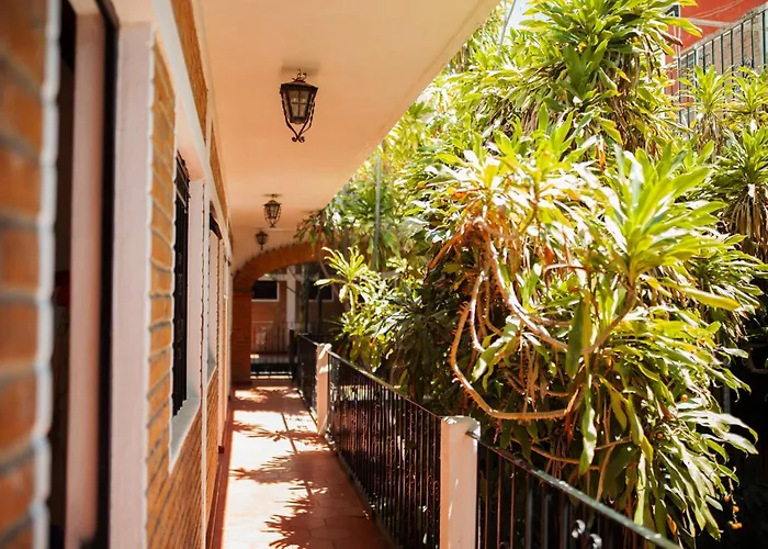 Hotel barato: Hotel Azteca