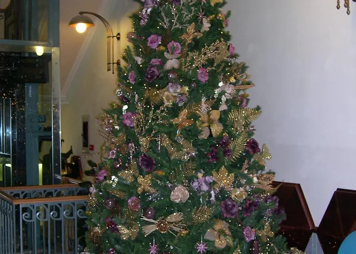 Albergo economico: Hotel Eden