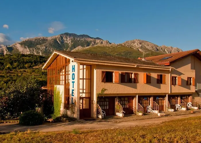 Hotel que admite mascotas: Hotel Torrecerredo