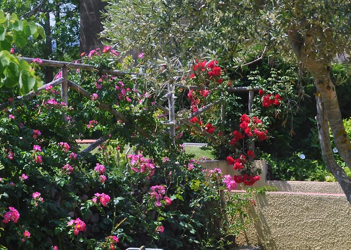 Hotel Tirrena Bike & Country Hotel Portoferraio