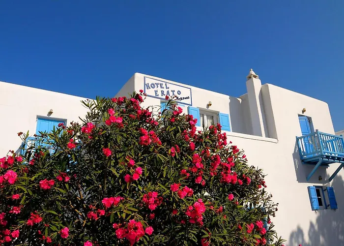 Erato Mykonos