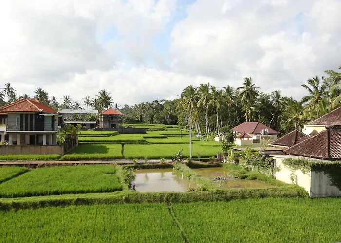 3 star hotel: Swarapadi Villa
