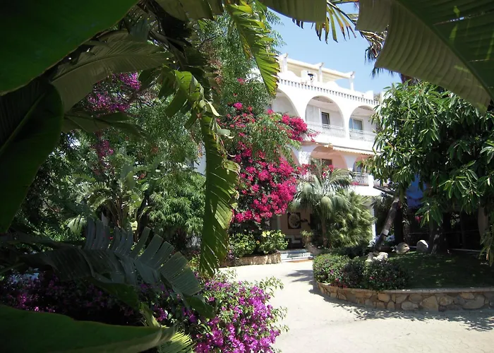 Resort: Hotel Simius Playa