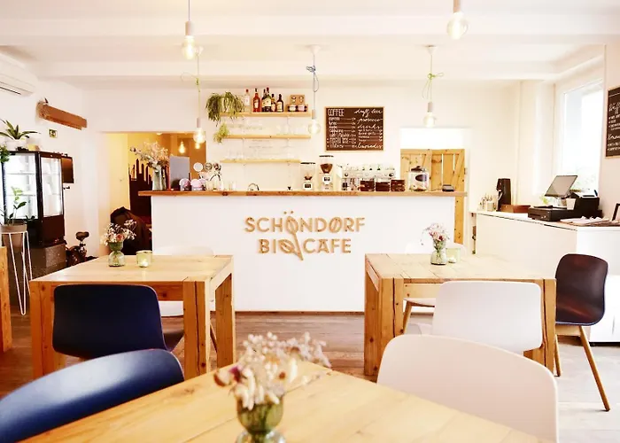 Schoendorf - Virtual Reception