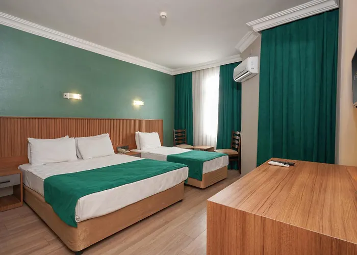 Hotel: Erguen Otel
