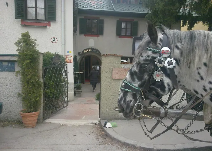 Gastenverblijf: Haus Wartenberg