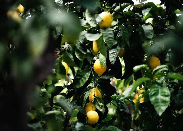 Casa vacanze: Masseria Fanizzi