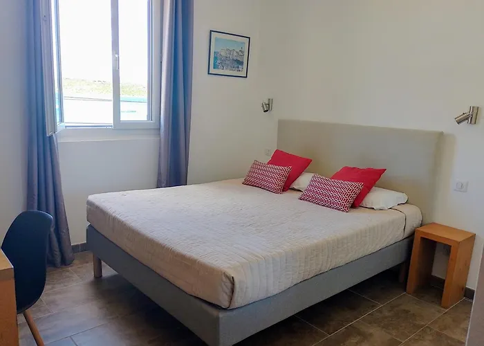 Hôtel accueillant les animaux: Hôtel du Golfe