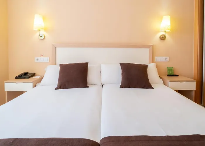 Hotel adatto agli animali: La City Mercado