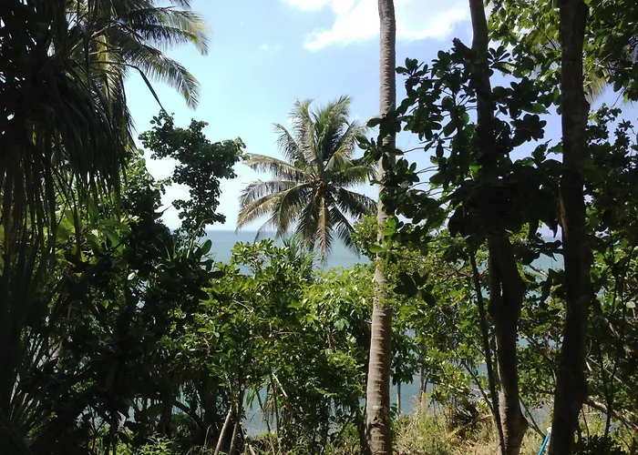 The Narima - Sha Plus Ko Lanta