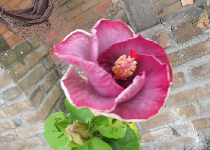 Hotel barato: Pousada Bom Clima - Melhor custo Benefício em Gravatá