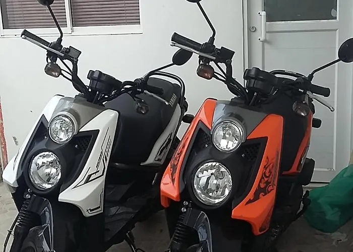 Hotel con piscina: Bull Shark Posada