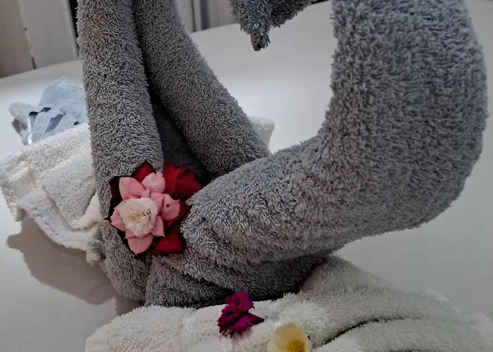 Apartamento: Estresse Zero