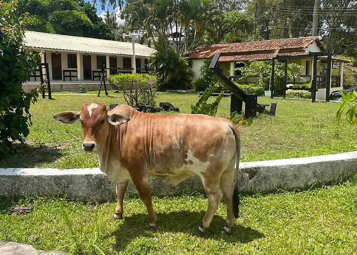  Fazenda Ceu Aberto