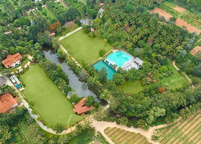 Pet Friendly hotel: Big Banyan Vineyard & Resort