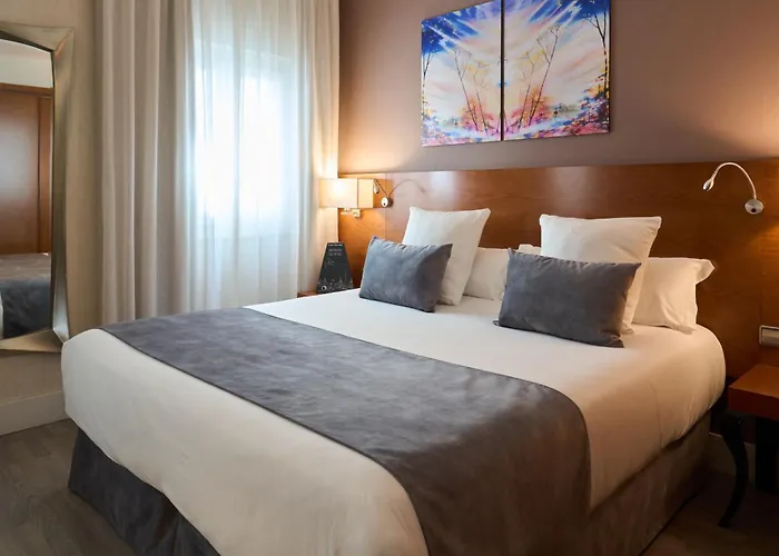 Albergo economico: Hotel Puerta De Toledo