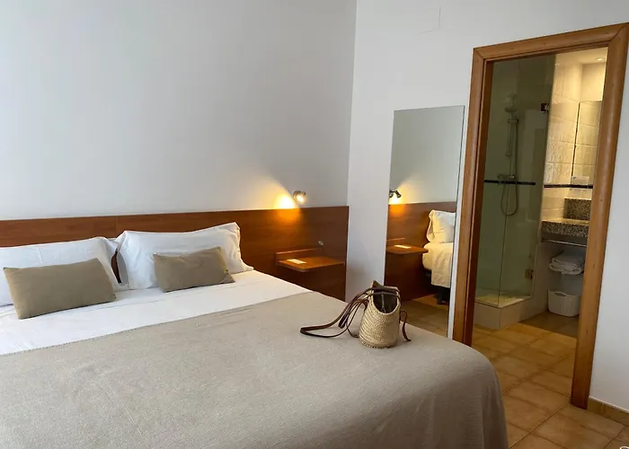 Hôtel accueillant les animaux: Vehi