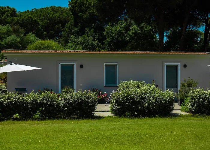 Bed and Breakfast Bosco Mattavona Boscotrecase