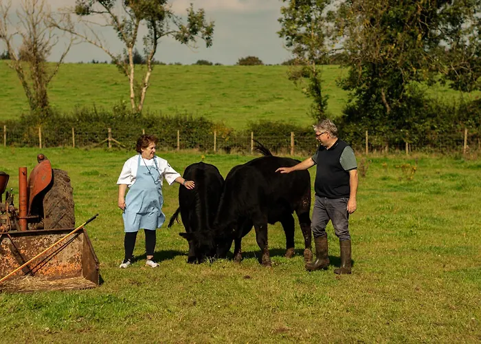 Vacation rental: Oranmore