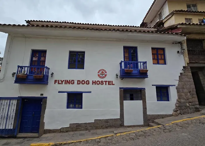 Flying Dog