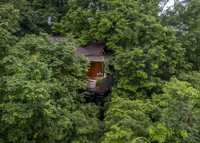 Spa Hotels Resorts Crystal Kuruva Nature & Spa