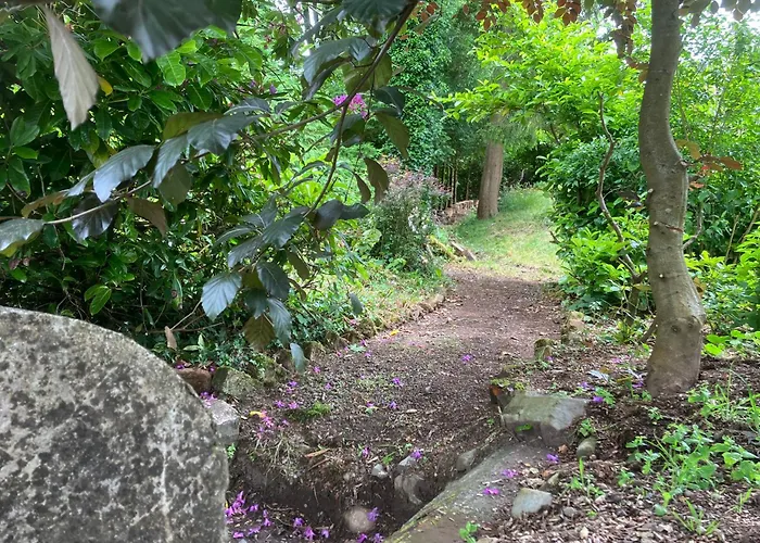 Above & Beyond At Warriston Lodge