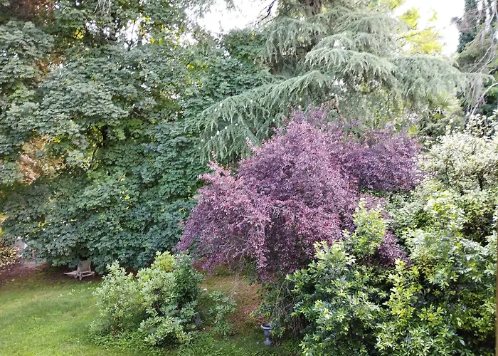 Casa vacanza: Villa Helios Holiday Home - Centre, Lake, 10' Car - Free Parking Self Check-In Airco