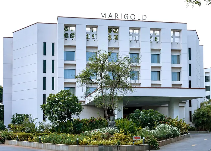  Marigold