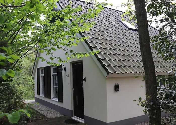 Vakantiehuis de Witte Bergen IJhorst